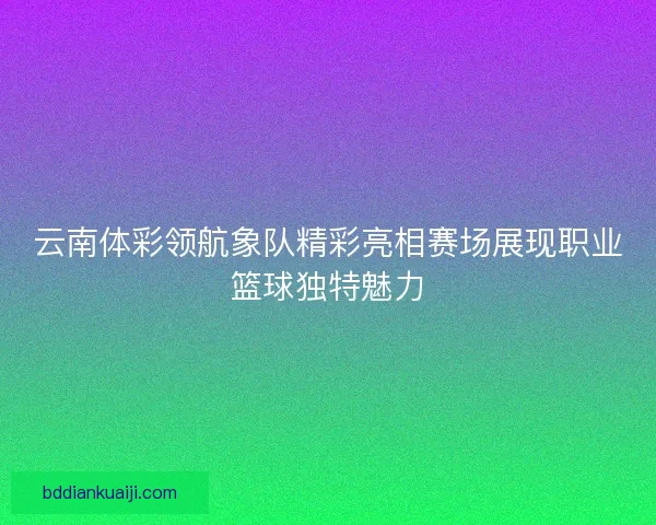 云南体彩领航象队精彩亮相赛场展现职业篮球独特魅力 云南体彩领航象队精彩亮相赛场展现职业篮球独特魅力